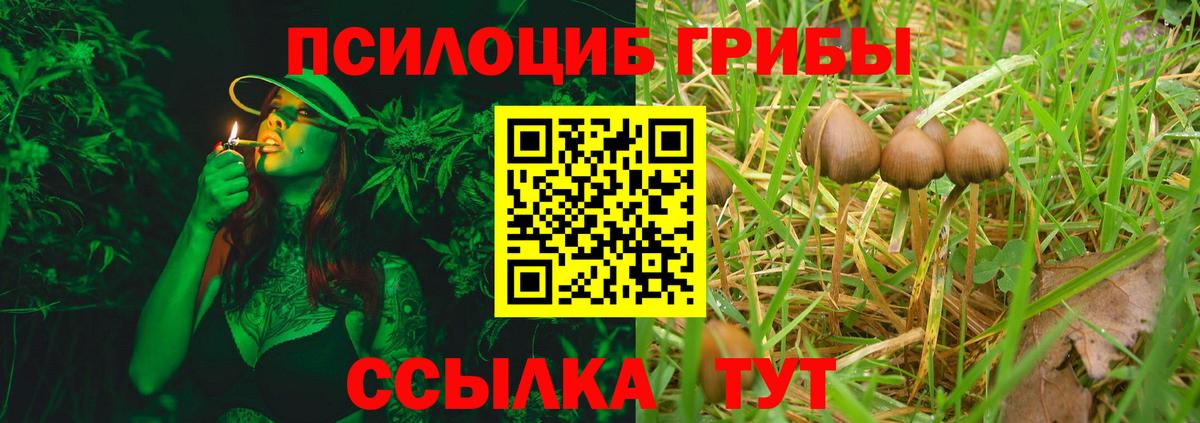 Галлюциногенные грибы прущие грибы  Вход с VPN  Миллерово 