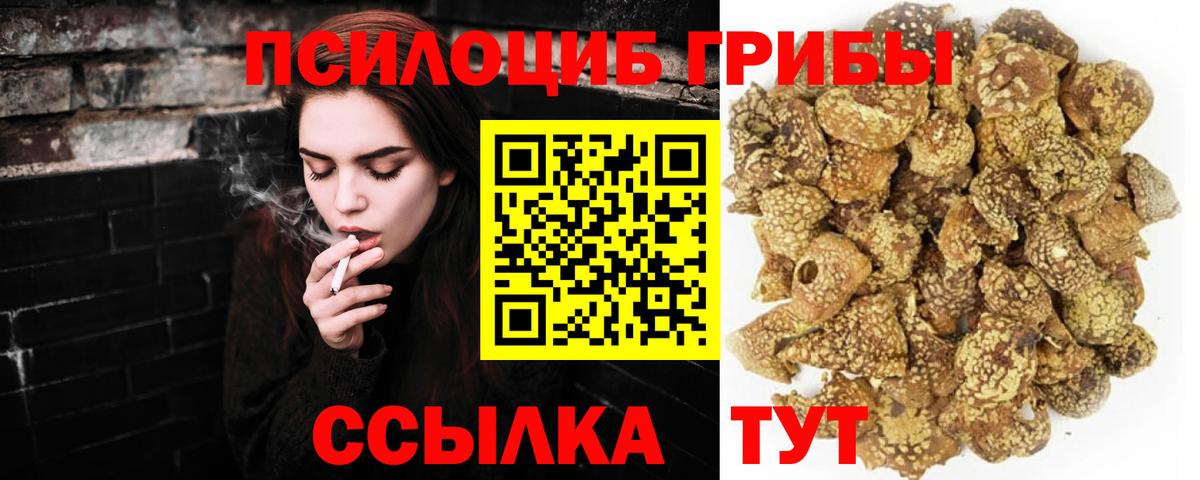 Галлюциногенные грибы Psilocybine cubensis Миллерово